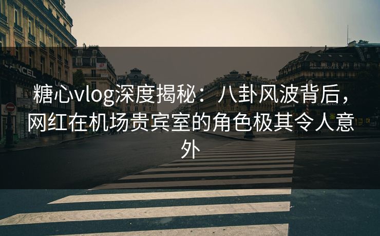糖心vlog深度揭秘:八卦风波背后,网红在机场贵宾室的角色极其令人意外 第1张 糖心vlog深度揭秘:八卦风波背后,网红在机场贵宾室的角色极其令人意外 第1张