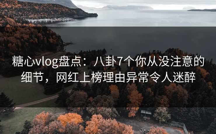 糖心vlog盘点：八卦7个你从没注意的细节，网红上榜理由异常令人迷醉
